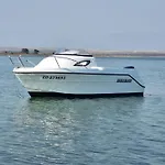 Cvangic דירה ויר
