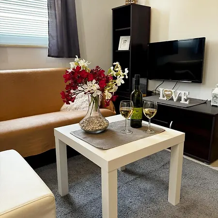 Apartment Cvangic Vir