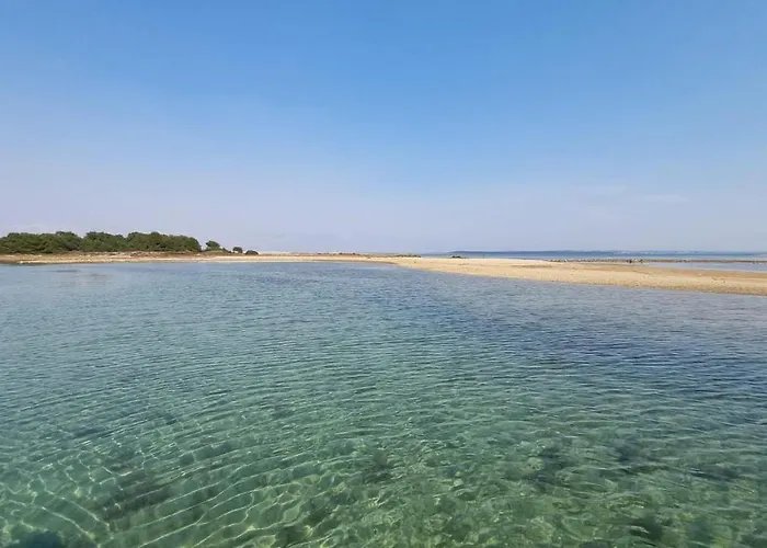 Cvangic Apartament Vir